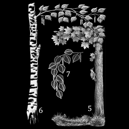 Гравировка ветви (арт. ГВ)